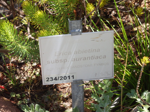 Kirstenbosch National Botanical Garden.